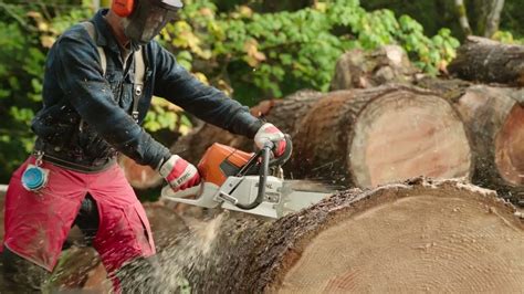 2 guy 1 chainsaw|2 guys 1 chainsaw .